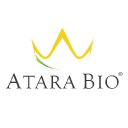 Atara Biotherapeutics Inc. Logo