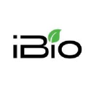Ibio Rg Logo